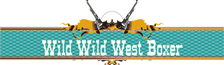 Wild Wild West Boxer